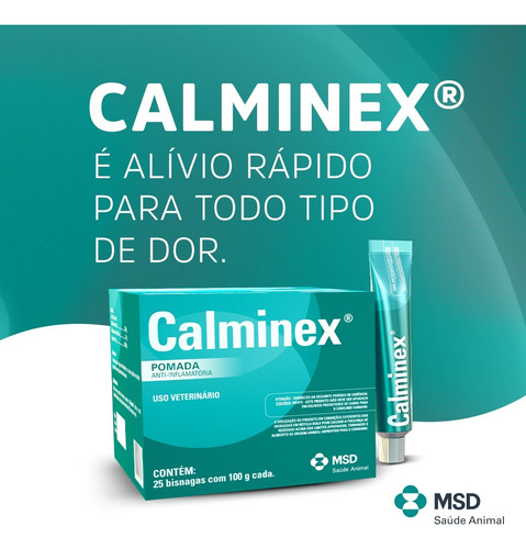 Dor No Musculo Acima Do Joelho Calminex Pomada 100g