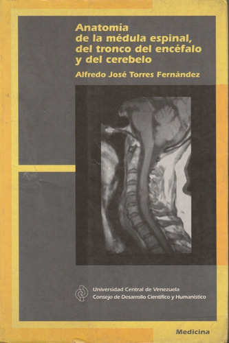 Anatomia De La Medula Espinal Del Tronco Del Encefalo Y Del
