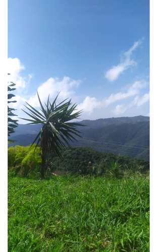 Vendo Casa 100 M2 1h/1b/10p Bosque De La La Lagunita