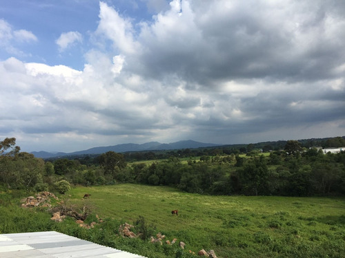 Imagen 2 de 8 de Terreno 11,600 M2 Km 97.5 Mex Qro $5,568,000