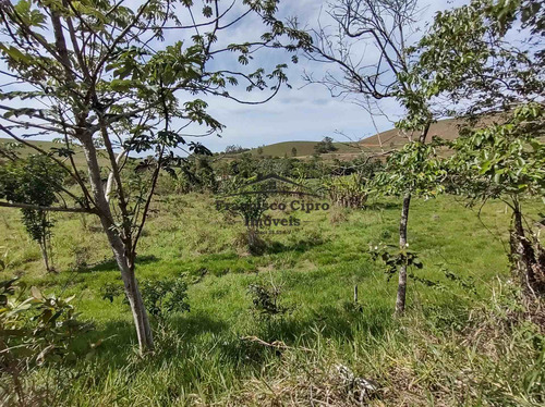 Imagem 8 de 28 de Terreno À Venda No Bairro Pilões - Guaratinguetá/sp - Tr009
