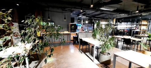 Imagen 27 de 29 de Atencion 6 Privados + 30 Islas De Trabajo - Amobladas 250m2