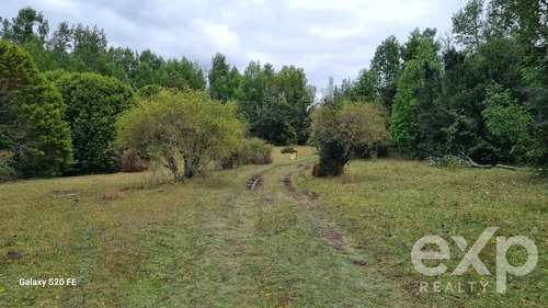Agrícola En Venta En Maullín