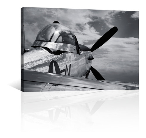 Cuadro Decorativo Lienzo Aviones Canvas Mustang P51 Antiguo