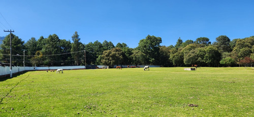 Venta Cortijo De Mendoza (rancho/lienzo Charro/eventos/crianza)