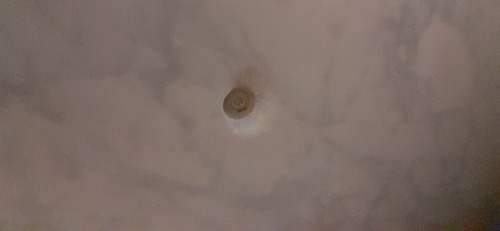 Marmol Carrara Circular 140cm