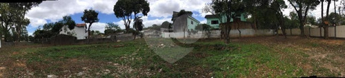 Imagem 4 de 7 de Terreno Residencial - 2 Vagas - À Venda Na Vila Leopoldina - Reo31307