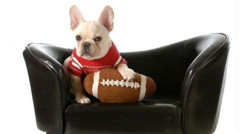Jersey Para Perro T3 Patriotas Nfl FĂștbol Americano New Engl