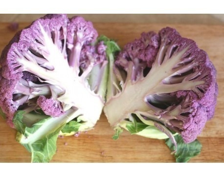 Semillas Organicas De Bocroli Morado X1 Gramo