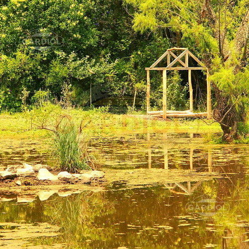 Terreno En Venta En Riachuelo