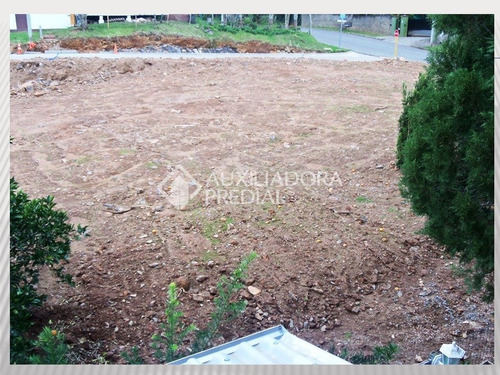 Imagem 4 de 4 de Terreno - Centro - Ref: 268999 - V-268999