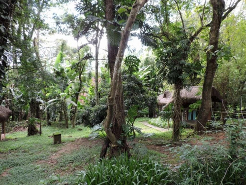 Baixou P/vender!!!! Fazendinha - 3 Dts - R$ 1.798.000,00 - Venha Ver - Ca1846