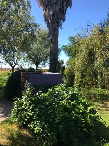 Venta. Quinta En Funes. 32.000 M2. Recomendamos