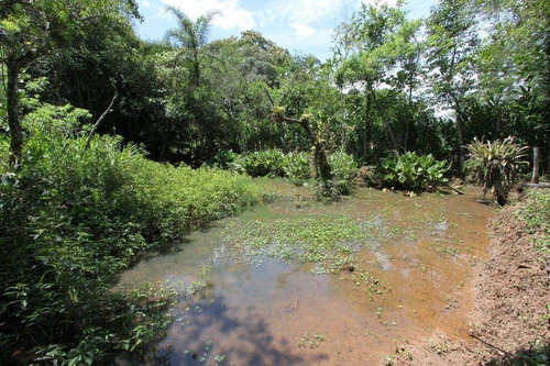 Imagem 28 de 30 de Chácara Com 3 Dormitórios À Venda, 8000 M² Por R$ 750.000,00 - Jardim Camargo - São Roque/sp - Ch0093