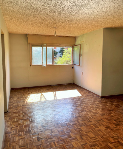 Lindo Apto 2 Dorm Parque Posadas