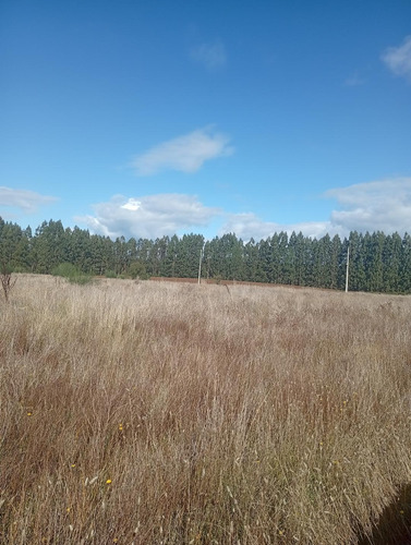 Terreno Ubicado A 6 Km De La Union, Sector Cudico
