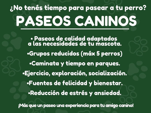 Paseador De Perros