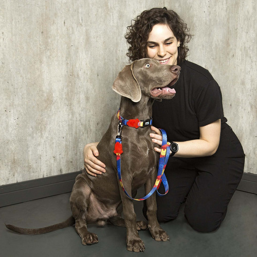 Imagem 3 de 4 de Coleira Power Dog G