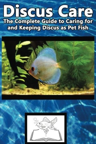 Discus Care The Complete Guide To Caring For And Keeping Dis