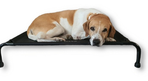 Imagen 3 de 10 de Cama Para Perro Mediana