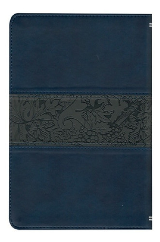 Imagen 4 de 10 de Biblia Rvr1909 (antigua) Letra Grande Imit. Piel Azul Marino