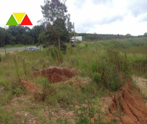 Imagem 2 de 11 de Área Industrial À Venda, Costeira, Araucária. - Ar00013 - 34982649