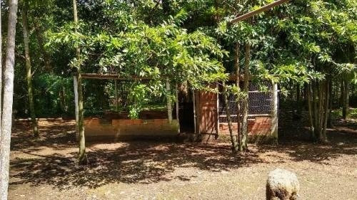 Imagem 8 de 14 de Chácara Com Árvores Frutíferas Em Peruíbe Litoral - 6455 Npc