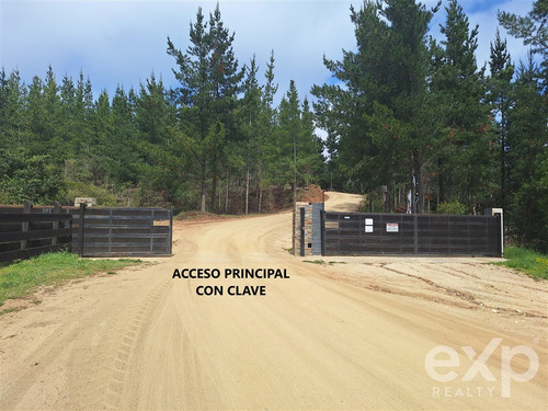 Sitio En Venta En Pichilemu
