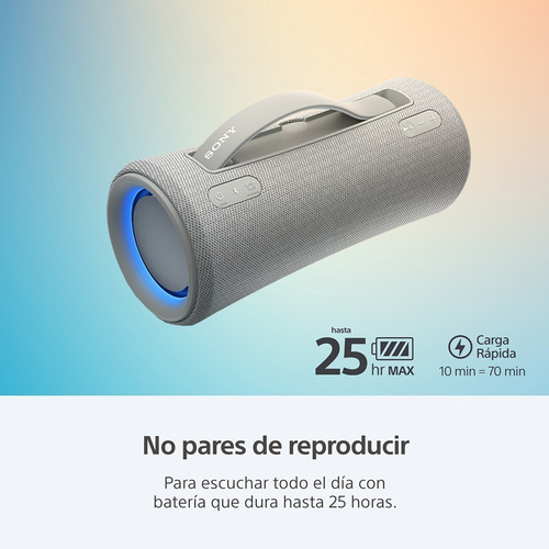 Parlante Bluetooth Portátil Inalámbrico Sony SRS-XG300 Negro