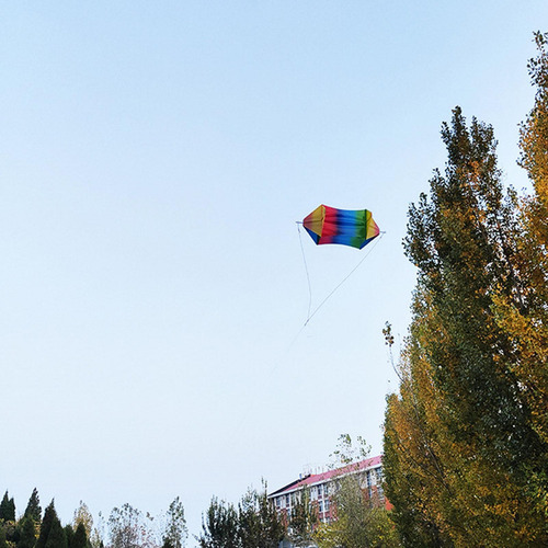Kite Box Kite 3d Actividades De Juegos Al Aire Libre Cometa