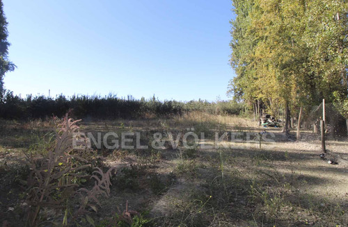 Terreno En Olivar