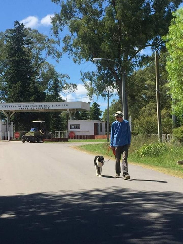 Adiestramiento Canino. Rehabilitacion. Problemas De Conducta