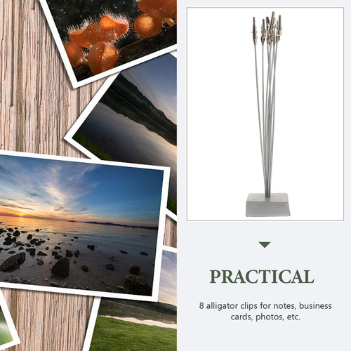 Soporte Para Fotos Estilo Árbol Con 8 Ramas, Clip Para Notas