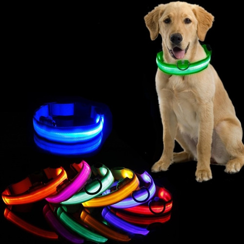 Kit 5 Collar Luz Led Luminoso Antipérdida Perros Y Cachorros