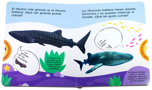 Datos Divertidos: Tiburones: Libro Infantil Datos Divertidos: Tiburones, de Varios. Datos Divertidos: Grandes Felinos. Editorial Silver Dolphin (en español), tapa dura en español, 2022