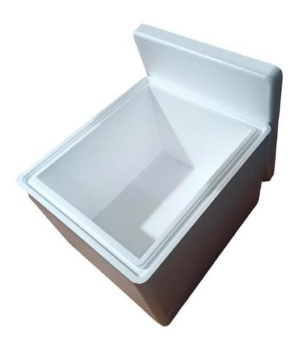 Imagen 3 de 3 de Conservadora Espuma Plast 41 Litros + 2 Gel Regalo + Envio