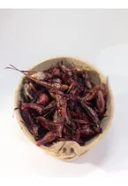 Comprar Chapulines Premium Oaxaqueños Grandes Al Vacío 1 Kg