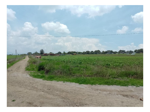 Imagen 4 de 8 de Se Vende Terreno En San Miguel Tepotzotlán