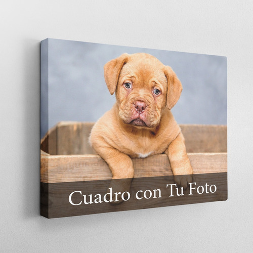 Cuadro Canvas 40x50 Personalizado -  Foto Lienzo 