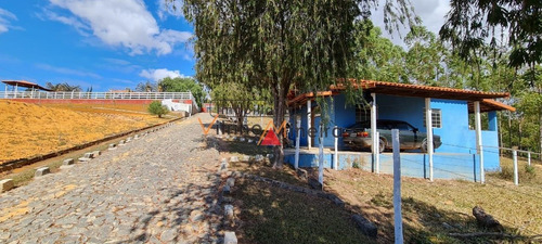 Imagem 5 de 15 de Fazenda Para Venda Em Crucilândia - 70509_2-1223566