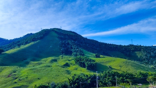 Imagem 4 de 8 de Chácara 2500 M2. Lugar Perfeito Para Descanso. Aceito Carro.
