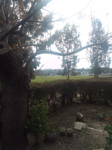 Vendo Casa + Campo 3 Padrones Fraccionados Total 4.8 Hectáreas Montevideo Urbano. Conectado A Saneamiento, Ute, Ose, Antel, Internet. Los 3 Padrones Usd 239.000 Dolares