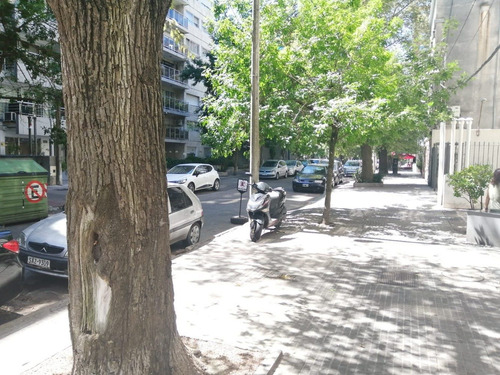 Alquiler Local Comercial Sobre Roque Graseras Punta Carretas