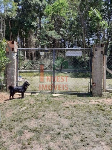 Imagem 4 de 12 de Chacara - Ref: 5247 - V-5247