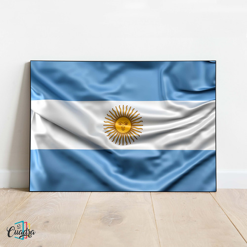 Cuadro Decorativo Argentina 60x40 Moderno Individual Bandera