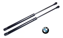 Comprar Amortiguadores De Capot Bmw Serie 3 E90 325i N52