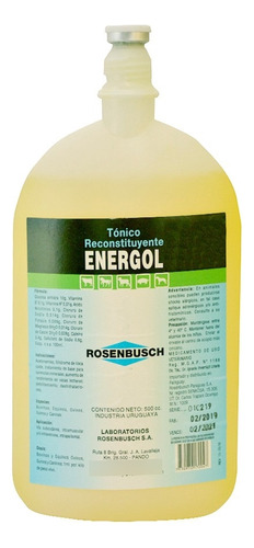 Reconstituyente Energol Por 500ml