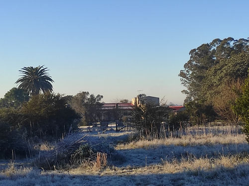 Terreno , 10000 Mts2, Una Hectárea, Terreno Canelones, Terreno Grande, Lugar Para Vivir