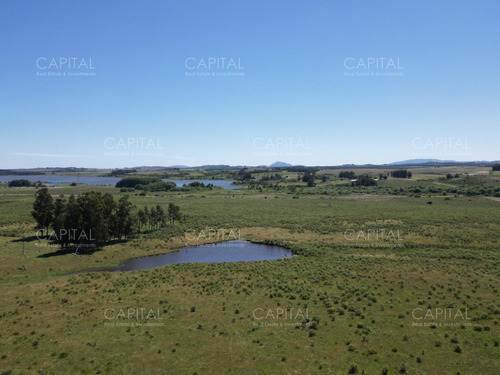 Campo En Venta En Laguna Del Sauce, Punta Del Este