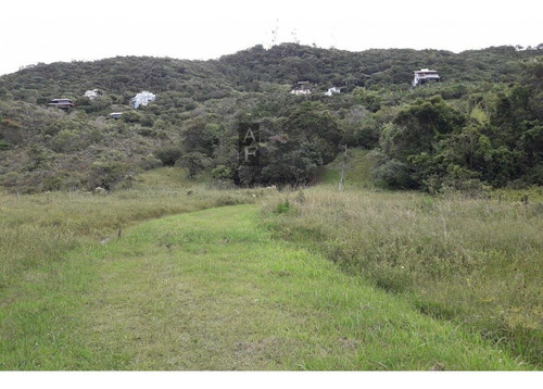 Imagem 19 de 19 de Terreno Para Venda Em Ferraz Garopaba-sc - Tv246
